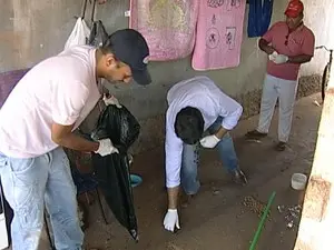 Polícia recolheu animais mortos (Foto: Reprodução/TV Integração)