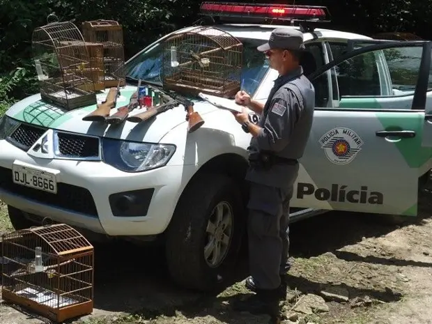 Material apreendido pela Polícia Ambiental em Santos (Foto: Divulgação/Polícia Ambiental)