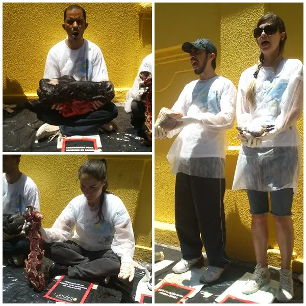Foto: Reprodução/Camaleão
