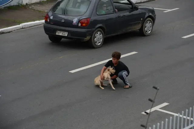 (Foto: Rafaela Martins )