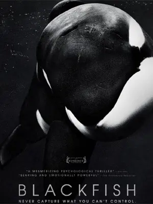 Cartaz do filme 'Blackfish' (Foto: Divulgação)