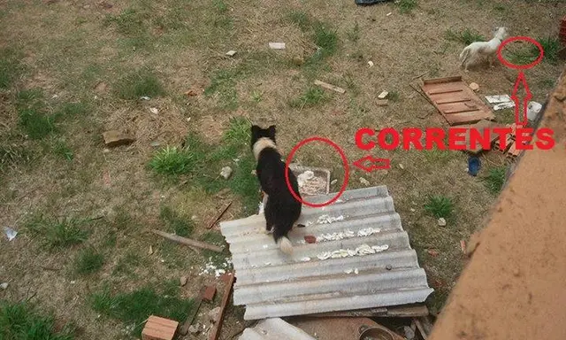 (Foto: Divulgação)