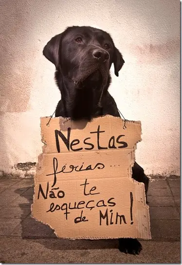 (Foto: Reprodução Internet)