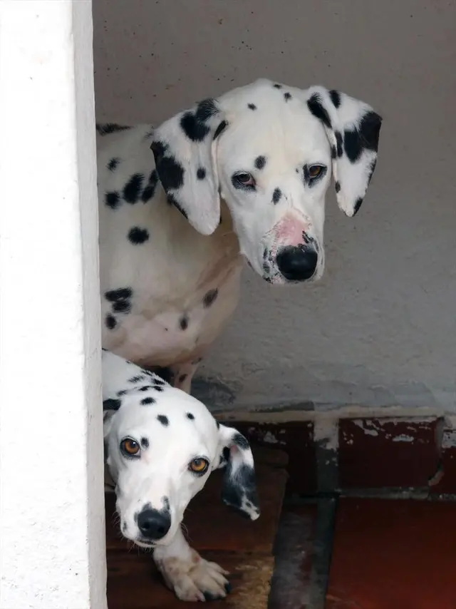 (Foto: Divulgação)