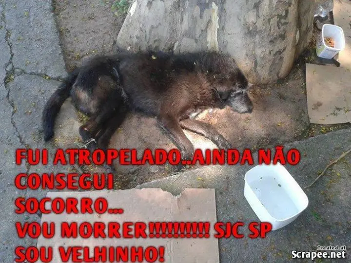 (Foto: Reprodução Facebook)