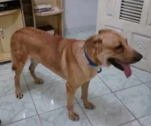 (Foto: Divulgação)
