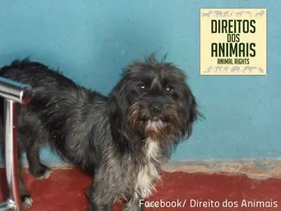 (Foto: Divulgação)