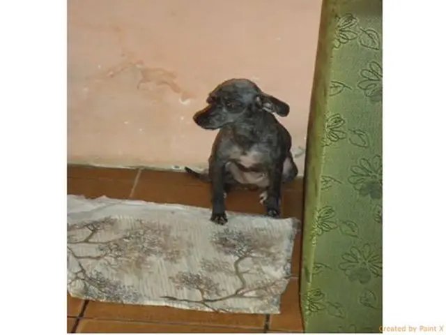 (Foto: Divulgação)