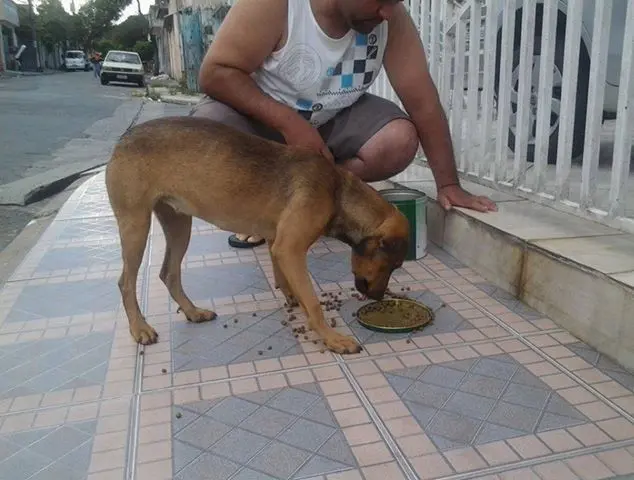 (Foto: Divulgação)