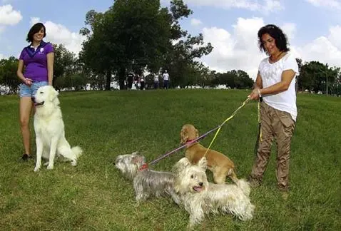 Foto: Reprodução/Milenio