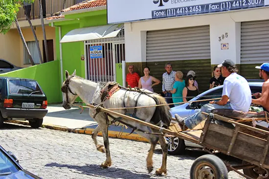 Animal visivelmente debilitado puxando charrete com dois indivíduos (Foto: Divulgação )