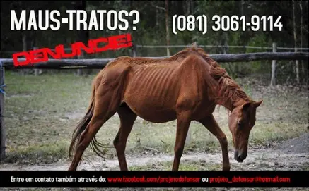 O anonimato do denunciante é garantido. (Foto: Divulgação)