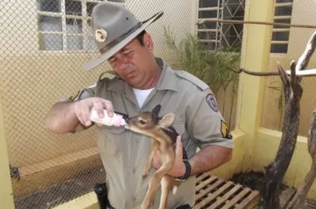 (Foto: Divulgação)