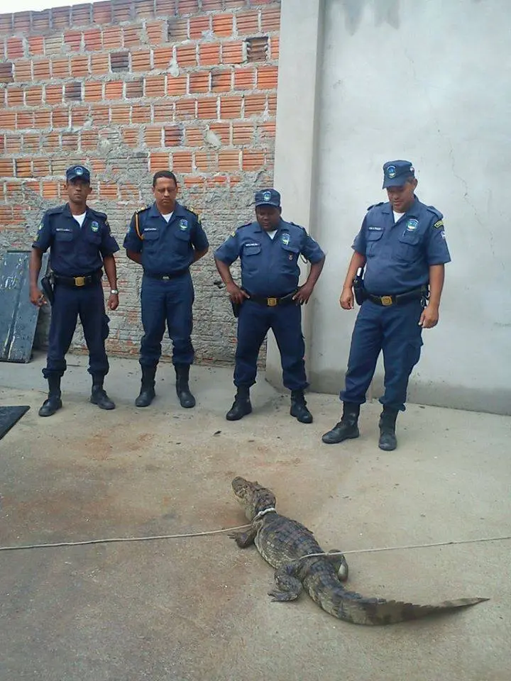 (Foto: Divulgação)