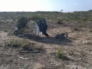 Uma cobertura com folhas e madeira foi feita para proteger o jumento do sol forte. (Foto: André Veras)