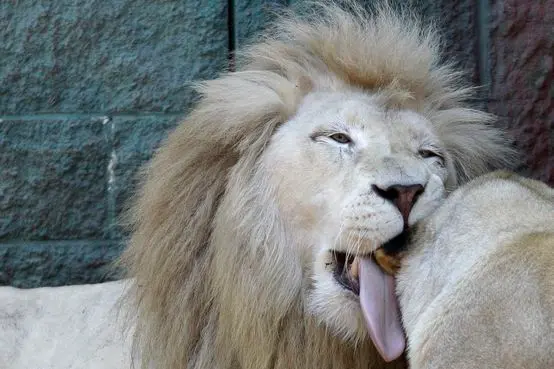 (Foto: Divulgação)