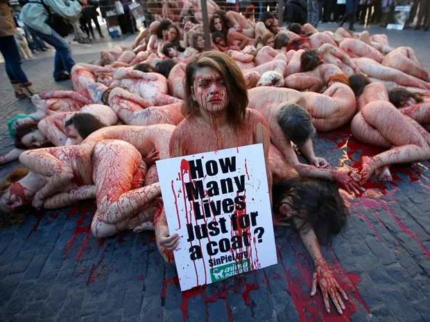(Foto: Divulgação)