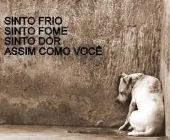 (Foto: Divulgação)