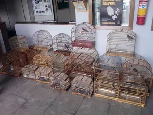 Vinte e seis pássaros foram apreendidos (Foto: Polícia Militar de Barbacena/Divulgação)
