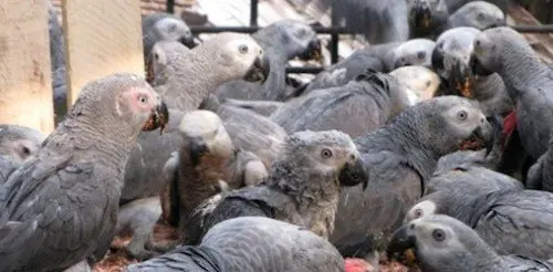 (Foto: Divulgação)