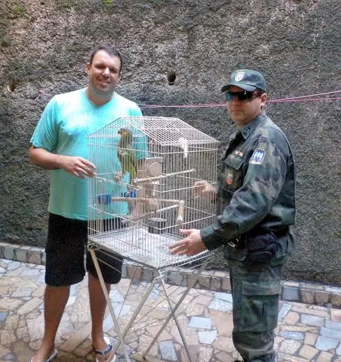 O animal será devolvido ao habitat natural. (Foto: Divulgação)