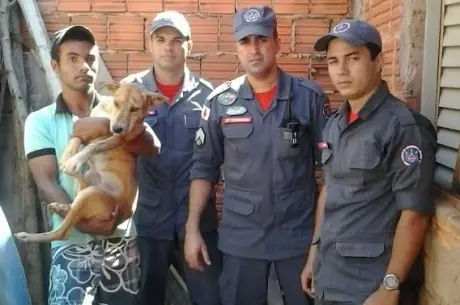 Resgate durou cerca de 30 minutos; animal não se feriu (Foto: Corpo de Bombeiros / Divulgação)