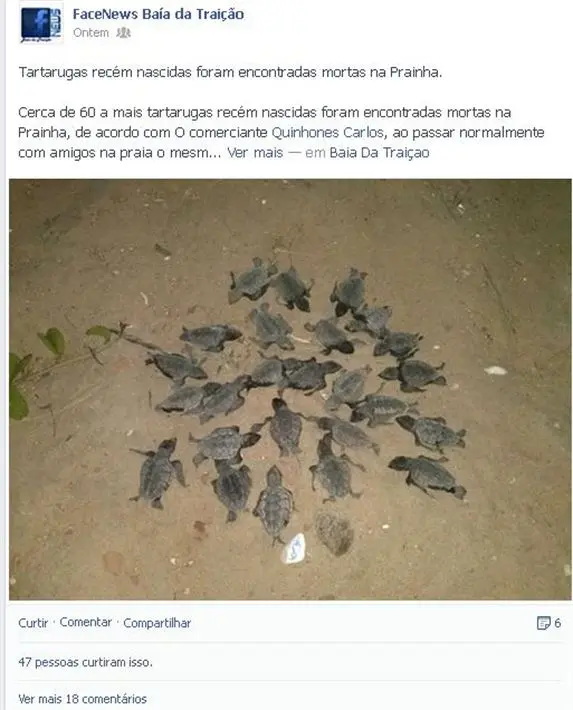 (Foto: Reprodução/Facebook)