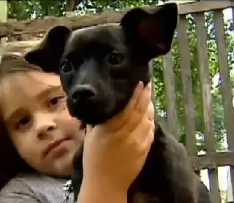 O cão lambeu a menina, que acordou a tempo de escapar ilesa do fogo. (Foto: Reprodução/R7)