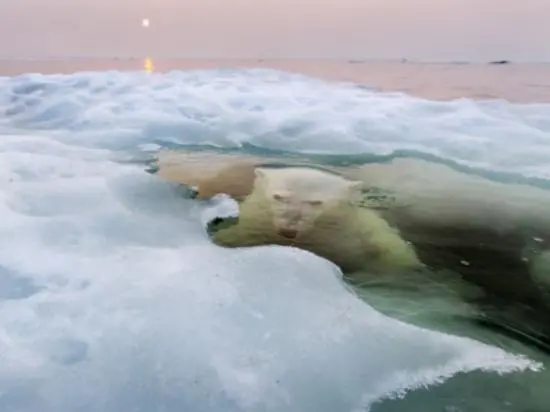 (Reprodução / National Geographic)