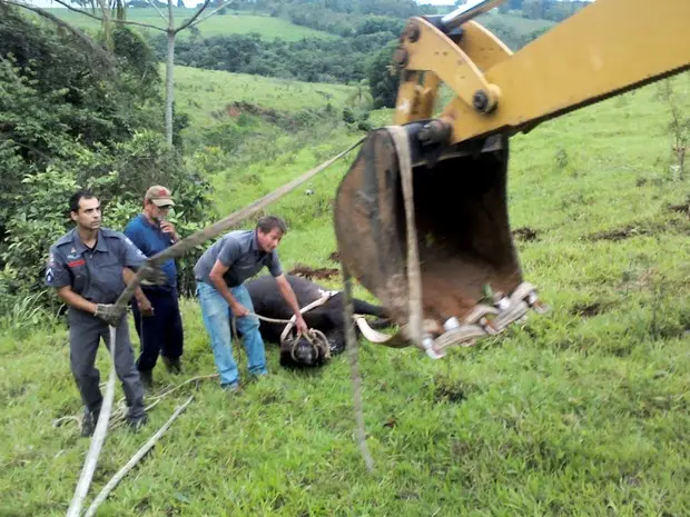 (Foto: Maurício Duch/Arquivo Pessoal)