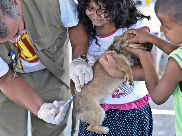 (Foto: Fabio Rodrigues Pozzebom / ABr)