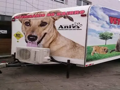(Foto: Divulgação)