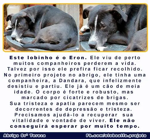 (Foto: divulgação)