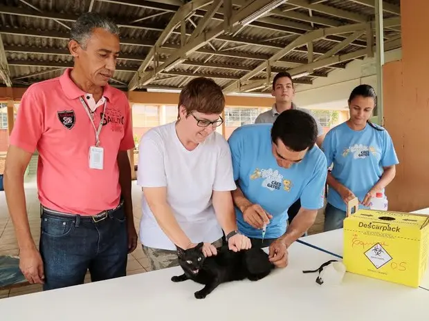 Prefeitura de Nova Odessa imunizou quase 7 mil cães e gatos contra raiva (Foto: Osnei Restio)