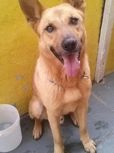 (Foto: divulgação)
