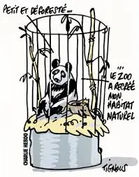 Charge: Cativeiro - Autor: Bernard (Tignous)
