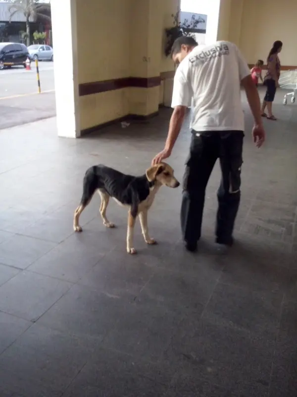 (Foto: divulgação) 