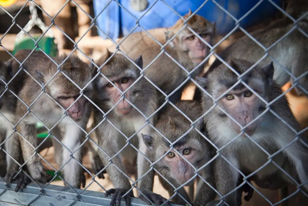 Foto: Alon Ron / Haaretz