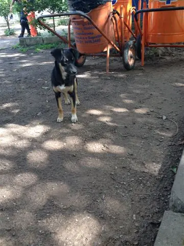 (Foto: divulgação) 