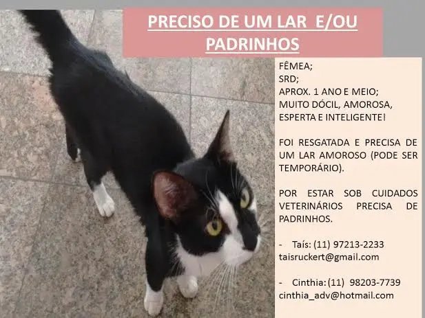 fumaça