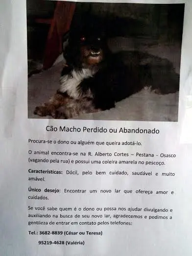 Foto: Divulgação 