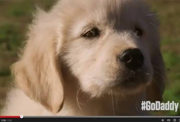 Propaganda da GoDaddy para o Super Bowl provocou protestos (Foto: Reprodução/YouTube)