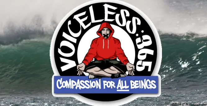 Logo do site de Aspey