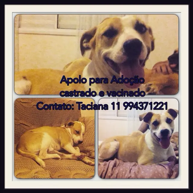 Foto: Divulgação 