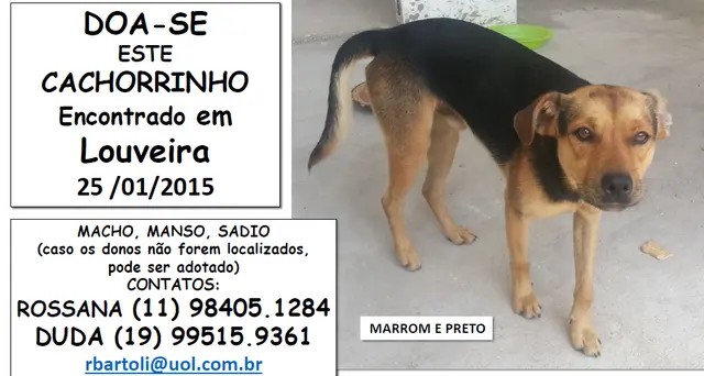 Foto: Divulgação 