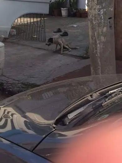 Foto: Divulgação 