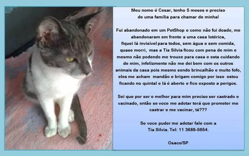 (Foto: Divulgação)