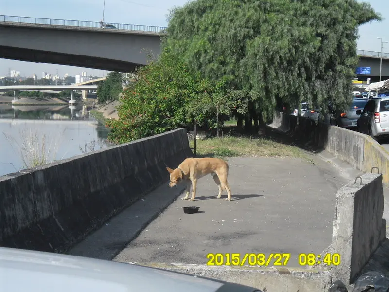 (Foto: Divulgação)