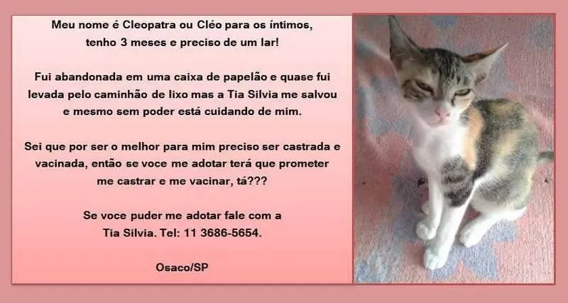(Foto: Divulgação)