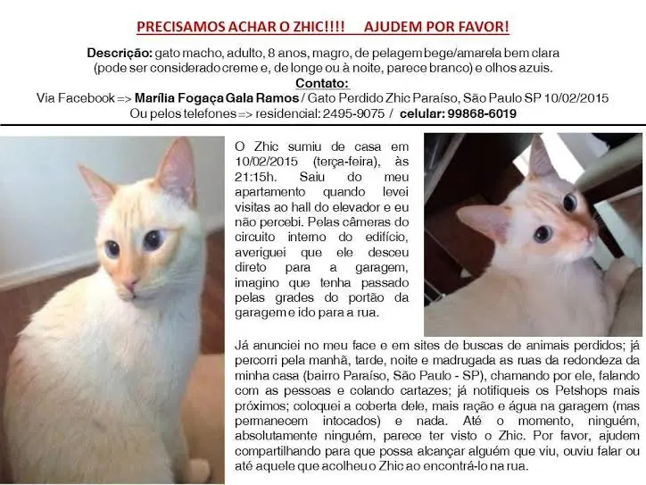 (Foto: Divulgação)